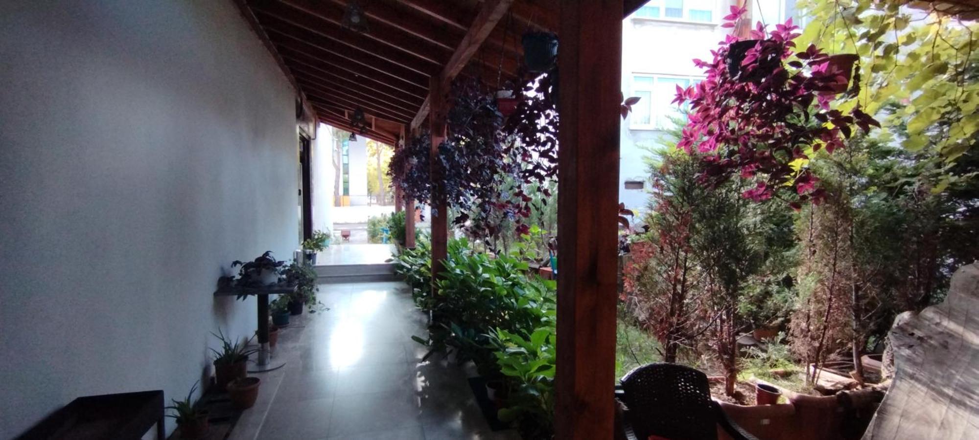 اكشاكوجا Ceneviz Suit Hotel المظهر الخارجي الصورة